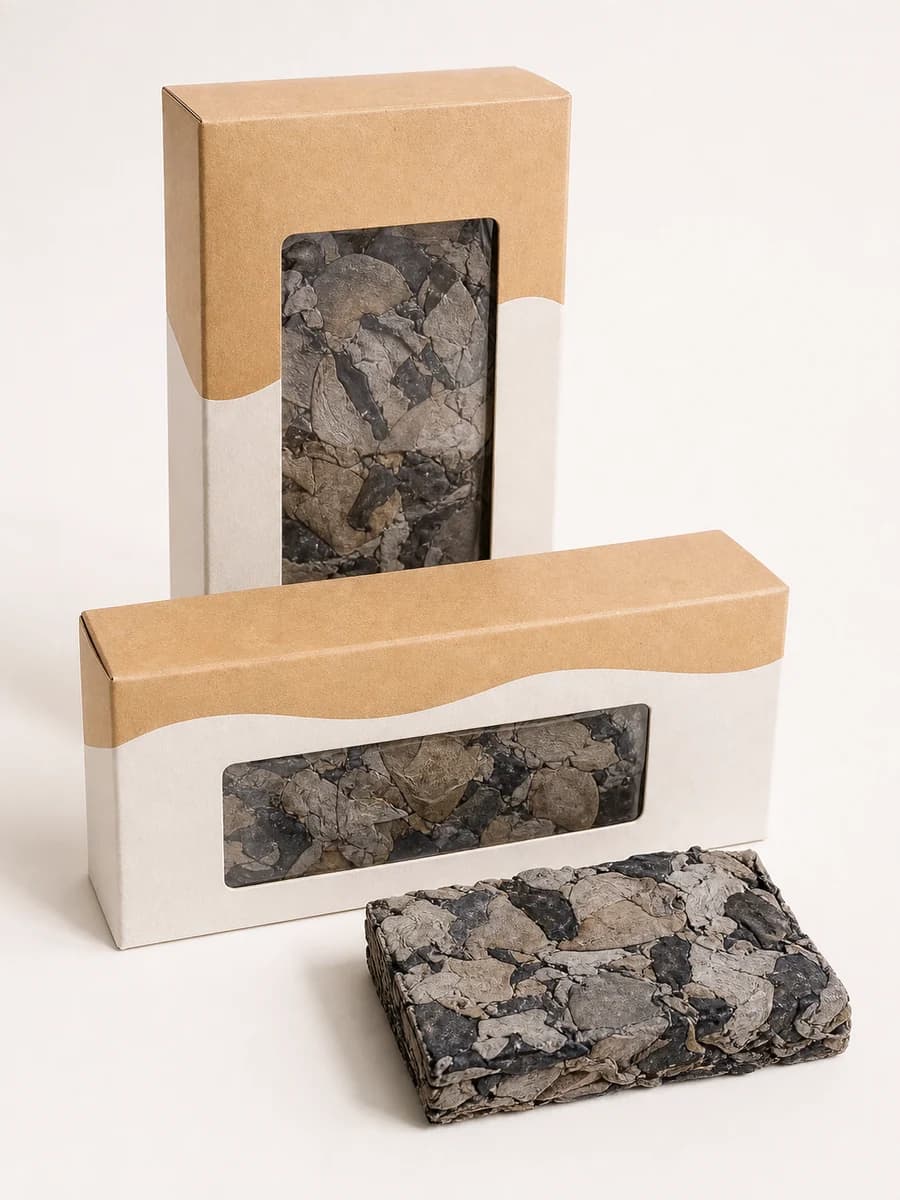 Compressed Black Fungus Packaging and Carton Guide buyer guide cover