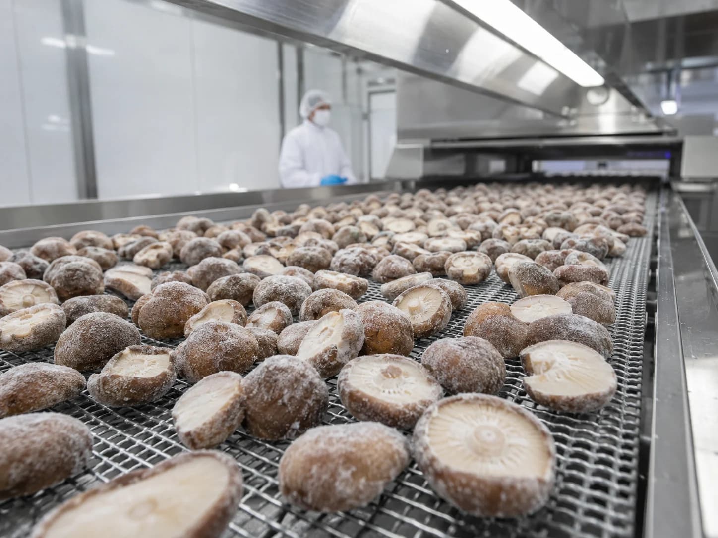 IQF Frozen Shiitake Mushrooms production quality